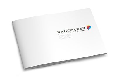 Bancoldex normas básicas de identidad