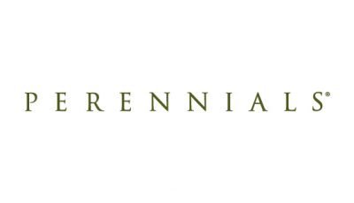 logo vector Perennials