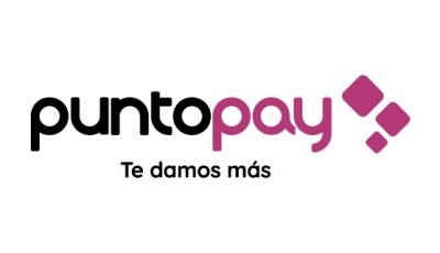 logo vector Puntopay