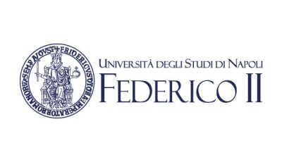 logo vettoriale Università degli Studi di Napoli Federico II