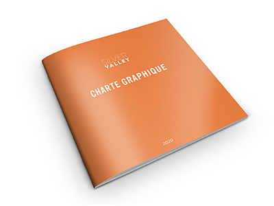 Silver Valley charte graphique