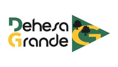 logo vector Dehesa Grande