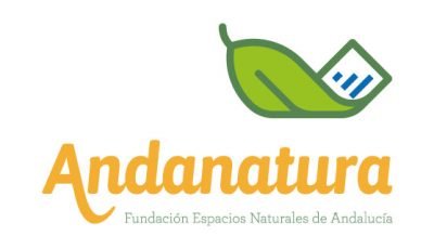 logo vector Andanatura