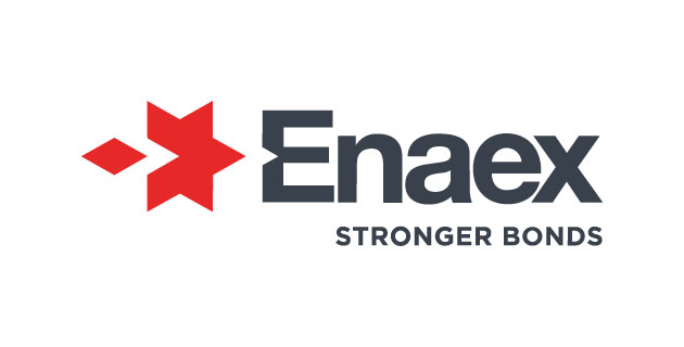 logo vector Enaex