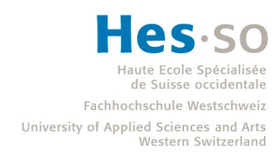 logo vector HES⁠-⁠SO Haute école spécialisée de Suisse occidentale