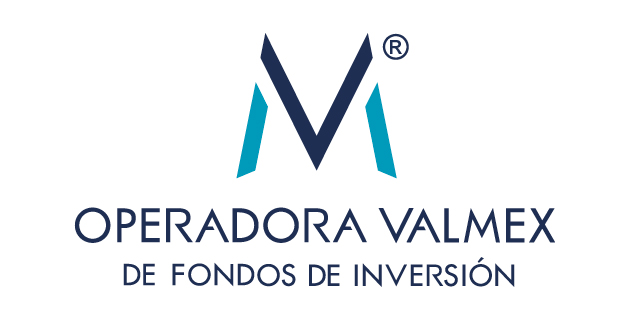 logo vector Operadora Valmex