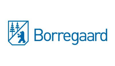 logo vector Borregaard