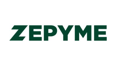 logo vector Zepyme