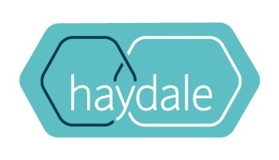 logo vector Haydale